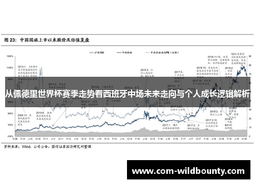 从佩德里世界杯赛季走势看西班牙中场未来走向与个人成长逻辑解析